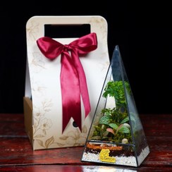 تصویر تراریوم هرمی 