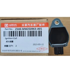 تصویر کوئل آریو زوتی Z300 Ignition Coil For Ario