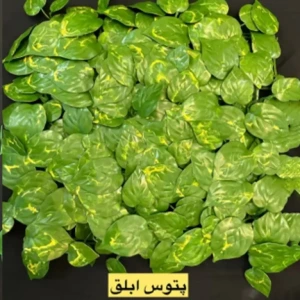 تصویر فروشگاه بام رنگ