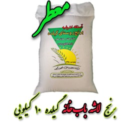 تصویر برنج باب خانه درجه یک آستانه اشرفیه (خوشمزه و عطری) 10 کیلویی 