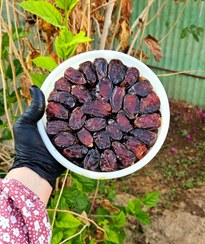 تصویر خرما خوزستان - سطل3کیلو کبکاب 