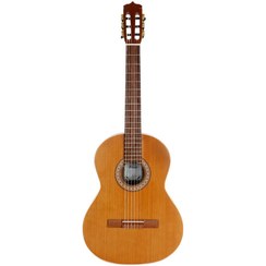 تصویر گیتار پارسی مدل guitar p80 