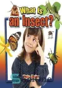 تصویر دانلود کتاب What Is an Insect? - حشره چیست؟ 