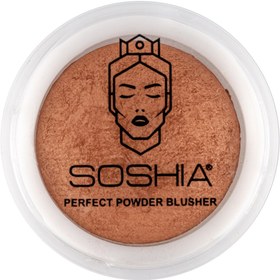 تصویر رژگونه دوآل فینیش وزن 7 گرم سوشیا 1 Soshia Perfect Powder Blusher Dual Finish Daily 22 g