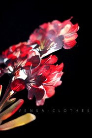 تصویر بلوز نخی ونسا - دو ایکس لارج / هفت vensa cotton shirt