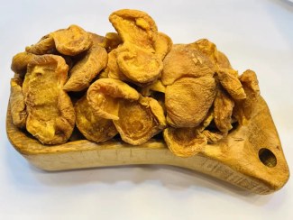 تصویر برگه زردآلو آفتابی 