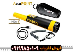 تصویر قیمت فلزیاب دستی 