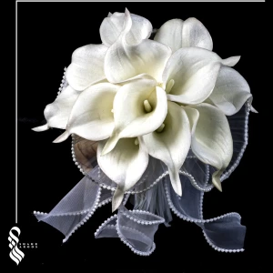 تصویر فروشگاه شهر عروس