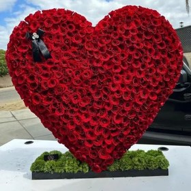 تصویر شب ولنتاین 