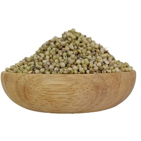 تصویر تخم گشنیز 