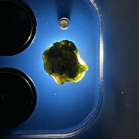 تصویر راف جواهری دمانتوئیدk443 