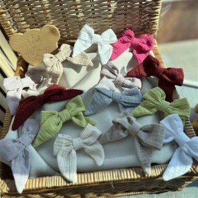 تصویر گیره طرح پاپیون کد 214143 