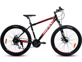 تصویر دوچرخه کوهستانی راپیدو مدل R6 سایز ۲۹ 