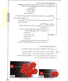 تصویر ایمنی شناسی الگوریتمی دکتر بشاش 