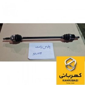 تصویر پلوس راست شاهین 