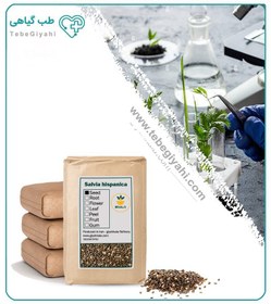 تصویر دانه چیا خشک فله 