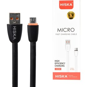 تصویر کابل شارژ پاور بانک میکرو هیسکا مدل HISKA CA14m Micro Power Bank Cable 