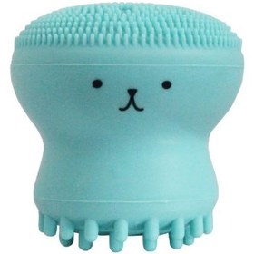 تصویر برس پاک‌سازی مدل B 0101 