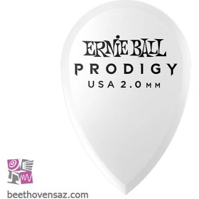 تصویر پیک گیتار ارنی بال مدل P09336 