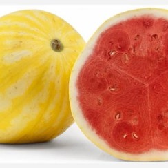 تصویر بذر هندوانه پوست زرد 5 عددی 