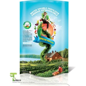 تصویر کود کلات آهن 10% تتاکو مدل VIGOROUS وزن 1 کیلوگرم 