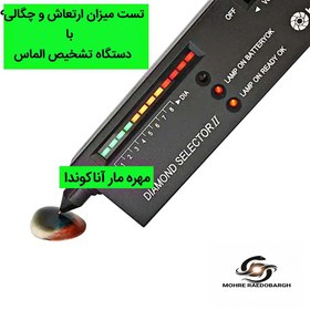 تصویر مهره مار آناکوندا 