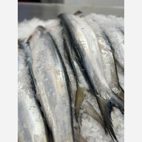 تصویر ماهی خارو 