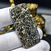 تصویر نگین درشت کلکسیونی سنگ طبیعی فسیل تورتیلا معدنی کد 34674 