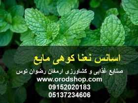 تصویر اسانس نعنا کوهی مایع 