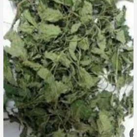 تصویر گزنه 100گرمی 