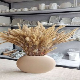 تصویر گل خشک ارزن رنگ طبیعی