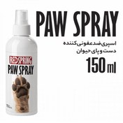 تصویر اسپری ضد عفونی کننده Red Spring Disinfectants Body Spray