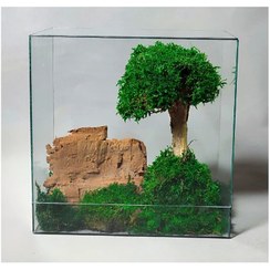 تصویر تراریوم چند ضلعی مدل درخت جاودان مدل کتابی 