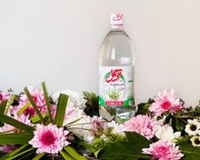 تصویر بادرنجبویه 