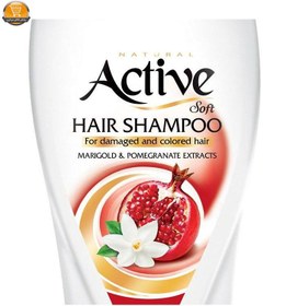 تصویر شامپو مو اکتیو مدل Pmegranate حجم 400 میلی لیتر Active Pmegranate Hair Shampoo 400ml