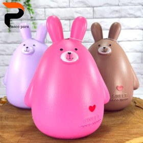 تصویر قلک خرگوش زیبا 