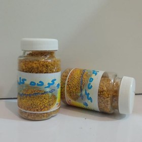 تصویر گرده گل 70 گرمی حکیم روازاده (بمب پروتئین) 