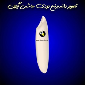 تصویر برنج دودی هاشمی گیلان 20 کیلوگرم برنج آنلاین 