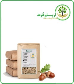 تصویر مغز بلوط خشک فله 