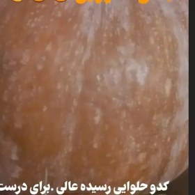 تصویر کدو حلوایی تاره چین 2کیلویی 