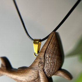 تصویر نهنگ52هرتز 