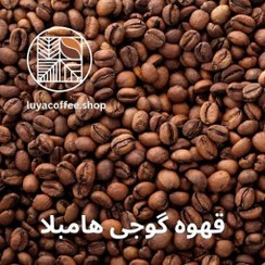 تصویر قهوه گوجی هامبلا اتیوپی [اسپشیالیتی] 