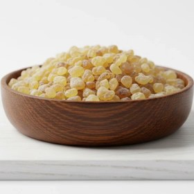 تصویر مصطکی گیاهی 