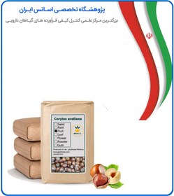 تصویر فندق خام فله 