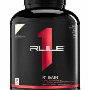 خرید و قیمت کلین گینر رول وان Rule 1 R1 Clean Gainer - 2-244kg | ترب