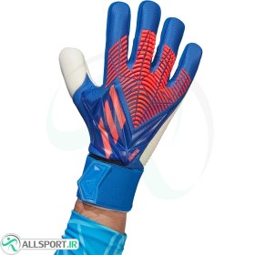 تصویر دستکش دروازه بانی آدیداس پردیتور طرح اصلی Adidas Predator Competition Goalkeeper Gloves Blue Red 