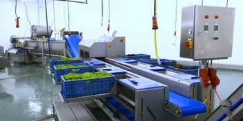 تصویر خط تولید سبزیجات سرخ شده خط سرخ کن صنعتی