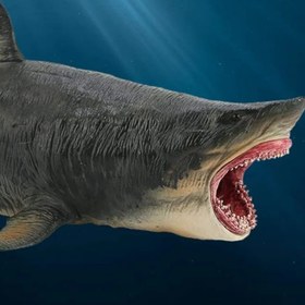 تصویر فیگور کوسه مگالودون مدل M6040 