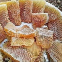 تصویر عسل طبیعی قیمت - 500 گرمی 