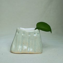 تصویر گلدان مینیاتوری سبز مینیمال 